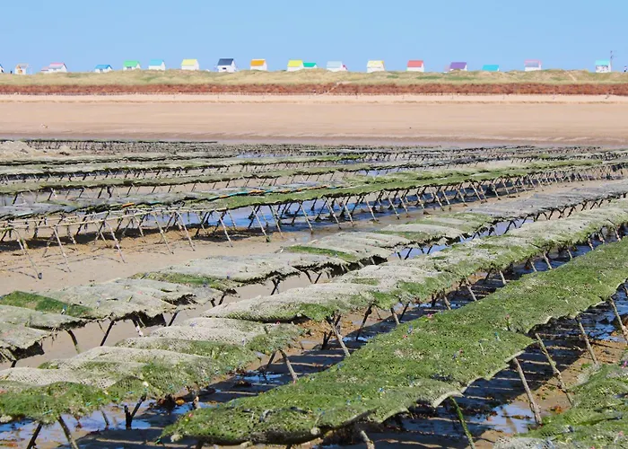 Des Coeurs Normands *